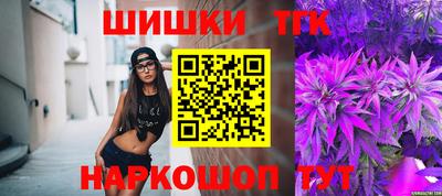 гашик Гатчина