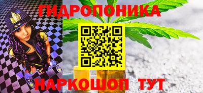 гашик Гатчина