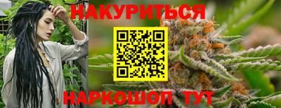 гашик Гатчина