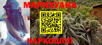 гашик Гатчина