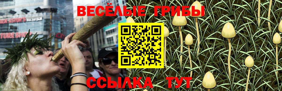 Псилоцибиновые грибы ЛСД Родники