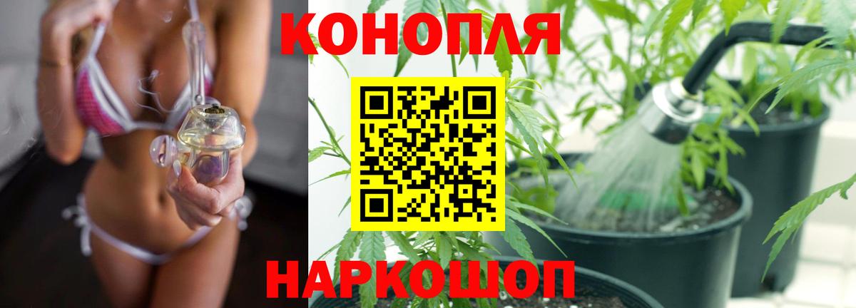 Бошки марихуана VHQ  Вход с VPN  Шишки марихуана OG Kush  Родники  Шишки марихуана планчик 